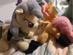 character:daring_do character:scootaloo filly foalcon socks toy:plushie // 1440x1081 // 241.2KB