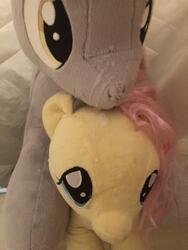 character:derpy_hooves character:fluttershy creator:that_purple_horse cum cum_on_plushie lifesized toy:build-a-bear toy:custom_plush toy:plushie // 3024x4032 // 2.3MB