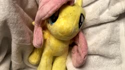 character:fluttershy creator:droids101 fetish:watersports has_audio male pee pee_on_plushie quality:1080p toy:plushie video // 1920x1080 // 80.3MB
