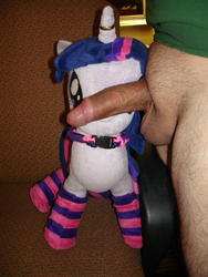 character:twilight_sparkle collar creator:jin male penis socks toy:plushie // 1944x2592 // 2.3MB