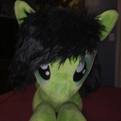 artist:joltage character:anon character:anonfilly creator:vinyl cum cum_on_plushie lifesized oc toy:custom_plush toy:plushie // 2448x2448 // 6.2MB