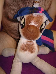 character:twilight_sparkle creator:jin fetish:scat male pubic_hair shit shit_on_plushie toy:plushie // 1944x2592 // 2.2MB