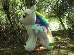 character:rainbow_dash creator:ikananprincess cum cum_on_plushie outdoors toy:build-a-bear toy:plushie // 3648x2736 // 3.7MB