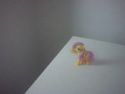 character:fluttershy cum cum_on_toy has_audio male masturbation penis quality:480p toy:mcdonalds video // 640x480 // 8.6MB