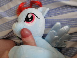 character:rainbow_dash fetish:scat male penis shit shit_on_plushie toy:build-a-bear toy:plushie // 2592x1944 // 2.8MB