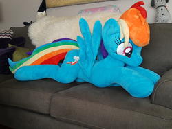 character:rainbow_dash lifesized toy:custom_plush toy:plushie // 4096x3072 // 2.9MB