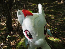 character:rainbow_dash creator:ikananprincess cum cum_on_plushie outdoors toy:build-a-bear toy:plushie // 3648x2736 // 2.2MB