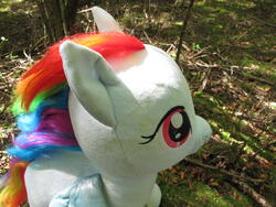 character:rainbow_dash creator:ikananprincess outdoors toy:build-a-bear toy:plushie // 3648x2736 // 2.7MB