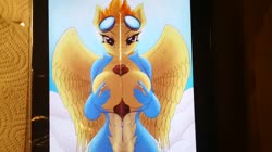 anthro character:spitfire cum cum_on_tablet cum_tribute has_audio latex male masturbation penis quality:720p tablet video // 1280x720 // 25.2MB