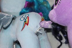 character:rainbow_dash character:twilight_sparkle fetish:destruction hornjob sph toy:build-a-bear toy:plushie // 5184x3456 // 6.4MB