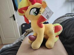 character:sunset_shimmer male penis pubic_hair toy:plushie // 1920x1442 // 264.4KB