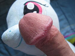 character:rainbow_dash creator:ikananprincess grinding male penis toy:build-a-bear toy:plushie // 3648x2736 // 2.1MB