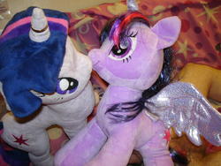 character:twilight_sparkle creator:jin male penis toy:build-a-bear toy:plushie // 1280x960 // 532.7KB