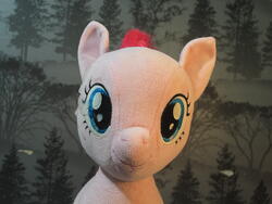 character:pinkie_pie creator:ikananprincess cum cum_on_plushie toy:build-a-bear toy:plushie // 3648x2736 // 2.0MB