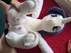 character:rarity creator:plushiefucker69 crotchboobs dried_up_cum male penis sex sph toy:custom_plush toy:plushie vaginal // 1280x960 // 176.0KB