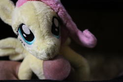 character:fluttershy grinding male penis toy:custom_plush toy:plushie // 2736x1824 // 1.6MB