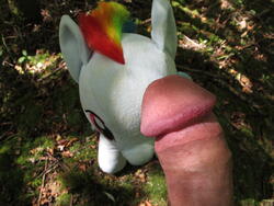 character:rainbow_dash creator:ikananprincess outdoors penis toy:build-a-bear toy:plushie // 3648x2736 // 2.0MB