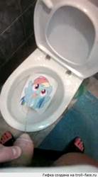 animated fetish:watersports male pee pee_on_paper penis toilet // 400x724 // 14.5MB