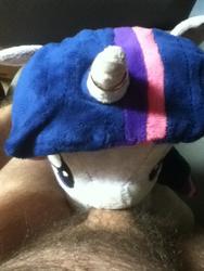 character:twilight_sparkle creator:jin male pubic_hair toy:plushie // 720x960 // 200.9KB