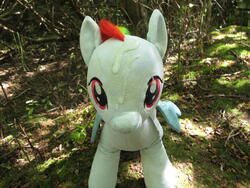 character:rainbow_dash creator:ikananprincess cum cum_on_plushie outdoors toy:build-a-bear toy:plushie // 3648x2736 // 2.6MB