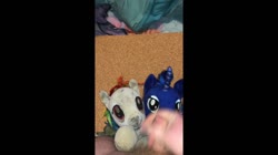 character:princess_luna character:rainbow_dash creator:that_purple_horse cum cum_on_plushie dirty has_audio male masturbation penis quality:720p toy:build-a-bear toy:plushie vertical_video video // 1280x720 // 36.6MB