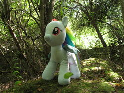 character:rainbow_dash creator:ikananprincess outdoors toy:build-a-bear toy:plushie // 3648x2736 // 4.0MB