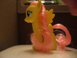 character:fluttershy cum cum_on_toy has_audio male masturbation penis quality:480p toy:brushable video // 640x480 // 60.0MB