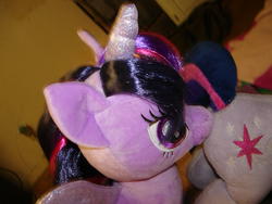character:twilight_sparkle creator:jin toy:build-a-bear toy:plushie // 1280x960 // 574.4KB