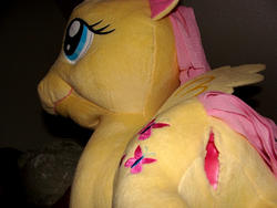 character:fluttershy sph toy:plushie // 1600x1200 // 589.8KB