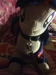 character:twilight_sparkle collar creator:jin leash toy:plushie // 720x960 // 193.5KB