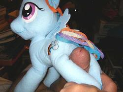 character:rainbow_dash male penis toy:plushie // 640x480 // 58.3KB