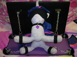 blindfold bondage character:twilight_sparkle collar creator:jin toy:plushie // 1280x960 // 316.0KB