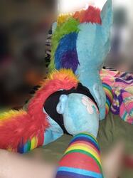 anus character:rainbow_dash lifesized panties sph toy:custom_plush toy:dht toy:plushie vagina // 677x903 // 118.4KB