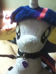 character:twilight_sparkle collar creator:jin leash toy:plushie // 720x960 // 195.2KB