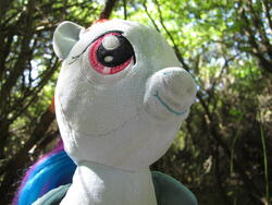 character:rainbow_dash creator:ikananprincess cum cum_on_plushie outdoors toy:build-a-bear toy:plushie // 3648x2736 // 2.4MB