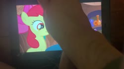 character:apple_bloom cock_tribute creator:prurientity filly foalcon has_audio male masturbation penis quality:1080p video // 1920x1080 // 100.1MB