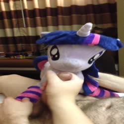 character:twilight_sparkle creator:jin has_audio male masturbation penis quality:1080p socks toy:plushie vertical_video video // 1080x1920 // 78.8MB