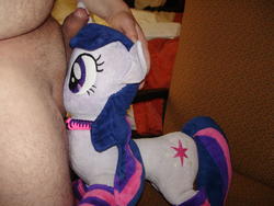 character:twilight_sparkle collar creator:jin male penis socks toy:plushie // 2592x1944 // 2.2MB
