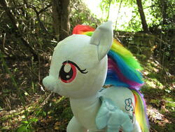 character:rainbow_dash creator:ikananprincess cum cum_on_plushie outdoors toy:build-a-bear toy:plushie // 3648x2736 // 2.7MB