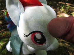 character:rainbow_dash creator:ikananprincess outdoors penis toy:build-a-bear toy:plushie // 3648x2736 // 2.1MB