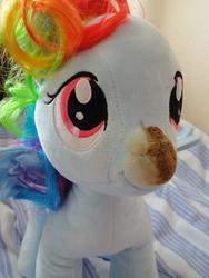 character:rainbow_dash fetish:scat shit shit_on_plushie toy:build-a-bear toy:plushie // 1944x2592 // 733.5KB