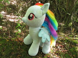 character:rainbow_dash creator:ikananprincess outdoors toy:build-a-bear toy:plushie // 3648x2736 // 3.4MB