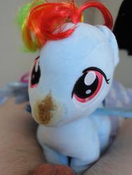 character:rainbow_dash fetish:scat male shit shit_on_plushie toy:build-a-bear toy:plushie // 1944x2592 // 469.3KB