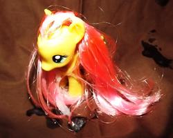 character:fluttershy cum cum_on_toy toy:brushable // 781x625 // 96.0KB