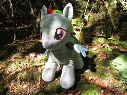 character:rainbow_dash creator:ikananprincess outdoors toy:build-a-bear toy:plushie // 3648x2736 // 3.5MB