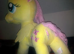 character:fluttershy cum cum_on_plushie sph toy:plushie // 1600x1180 // 536.2KB