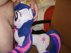 character:twilight_sparkle collar creator:jin male penis socks toy:plushie // 2592x1944 // 2.2MB