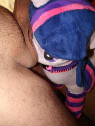 character:twilight_sparkle collar creator:jin male penis socks toy:plushie // 1944x2592 // 2.1MB