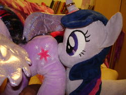 character:twilight_sparkle creator:jin toy:build-a-bear toy:plushie // 1280x960 // 561.8KB