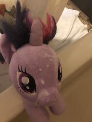 character:twilight_sparkle creator:lolzorg creator:that_purple_horse cum cum_on_plushie toy:build-a-bear toy:plushie // 3024x4032 // 2.0MB
